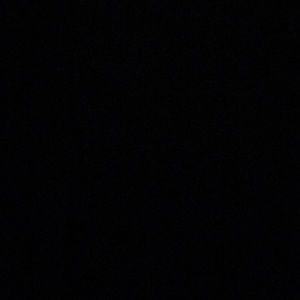 Meet your Posher, Will